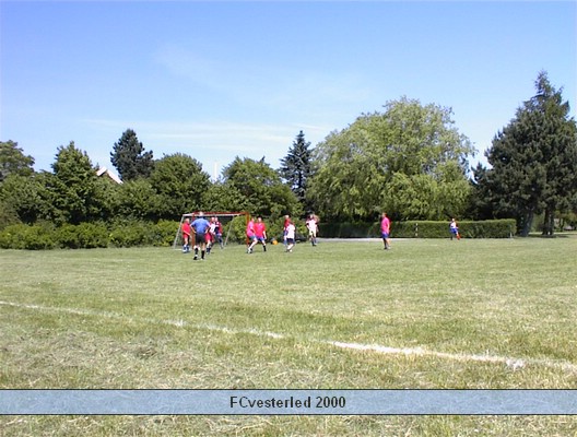 DSC00007.jpg
