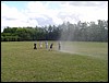 DSC00548.JPG
